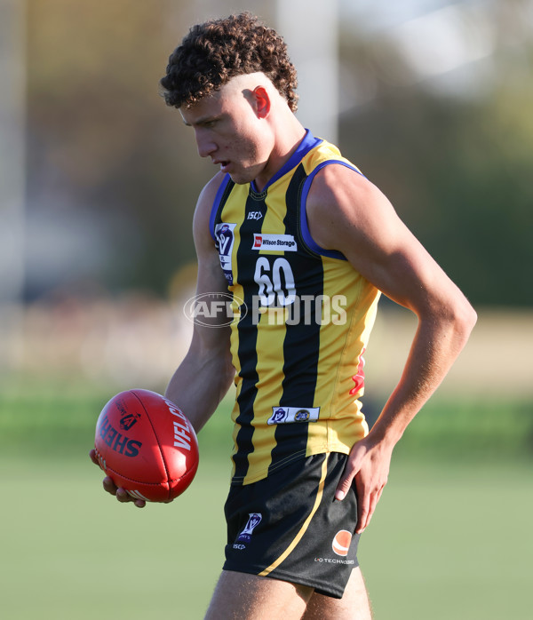 VFL 2024 Round 01 - Sandringham v Collingwood - A-46659319