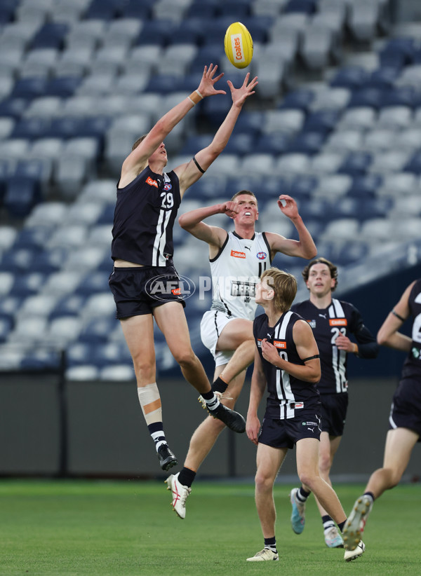 Coates League Boys 2024 - Geelong Falcons v GWV Rebels - A-46748304