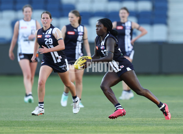 Coates League Girls 2024 - Geelong Falcons v GWV Rebels - A-46749828