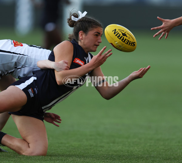 Coates League Girls 2024 - Geelong Falcons v GWV Rebels - A-46749843