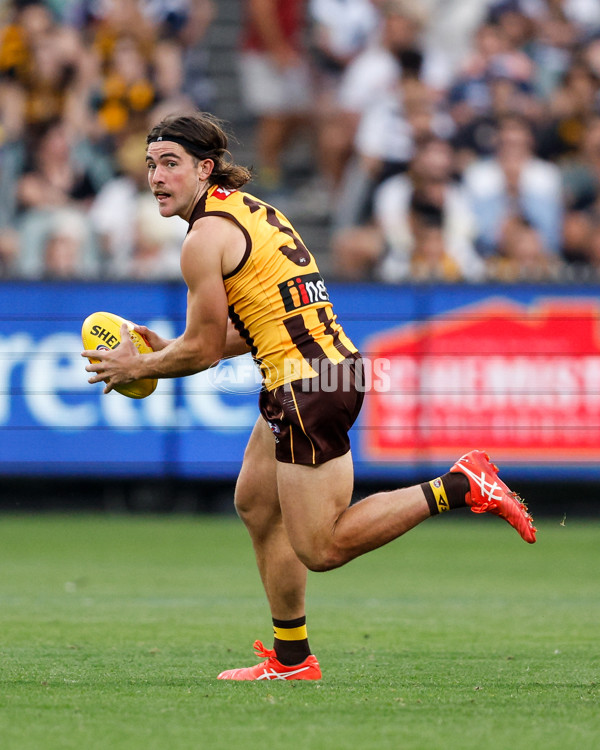 AFL 2024 Round 03 - Hawthorn v Geelong - A-46826364