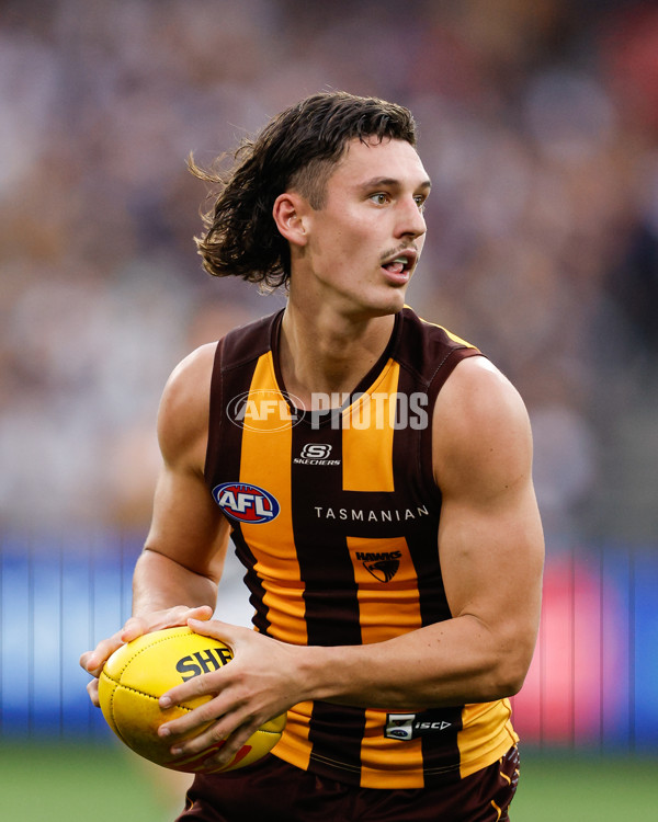 AFL 2024 Round 03 - Hawthorn v Geelong - A-46826563