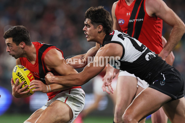 AFL 2024 Round 04 - Port Adelaide v Essendon - A-47008502