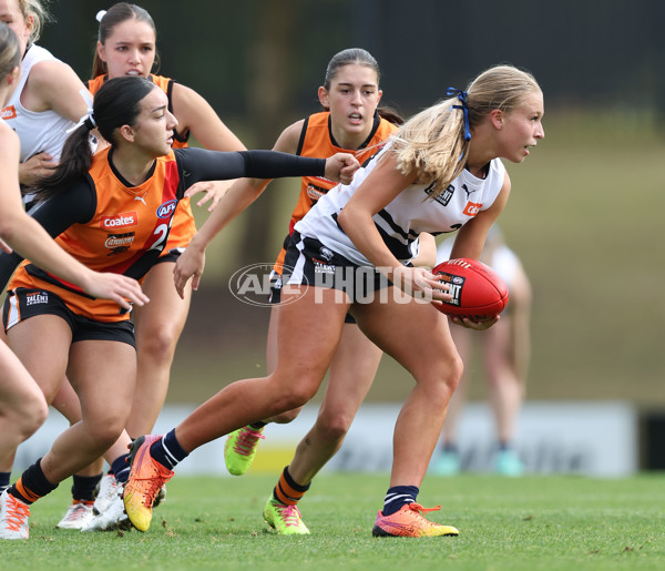Coates League Girls 2024 - Calder Cannons v Northern Knights - A-47030729