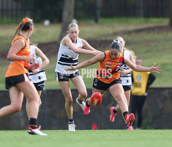 Coates League Girls 2024 - Calder Cannons v Northern Knights - A-47031094
