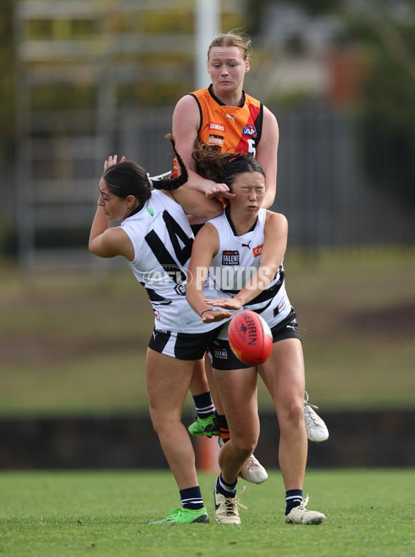 Coates League Girls 2024 - Calder Cannons v Northern Knights - A-47033860