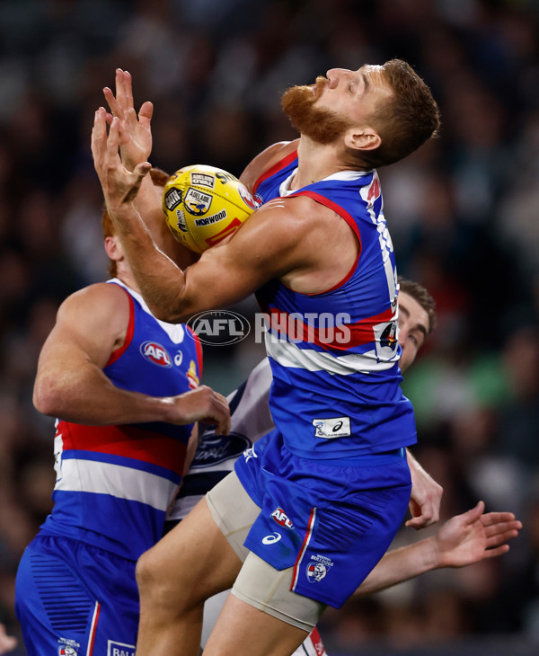 AFL 2024 Round 04 - Western Bulldogs v Geelong - A-47045508