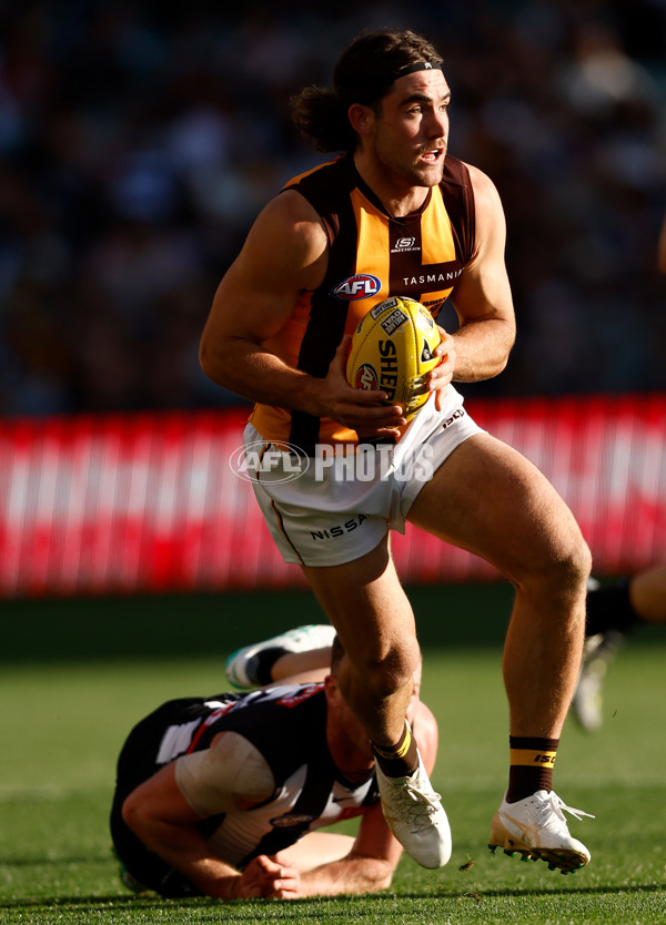 AFL 2024 Round 04 - Collingwood v Hawthorn - A-47065363
