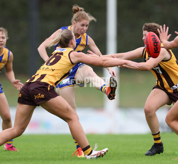 VFLW 2024 Round 04 - Box Hill Hawks v Williamstown - A-47171887