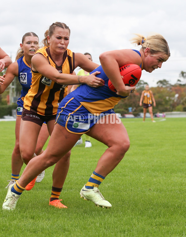 VFLW 2024 Round 04 - Box Hill Hawks v Williamstown - A-47195100