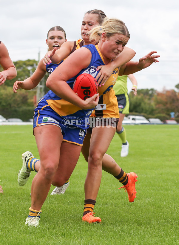 VFLW 2024 Round 04 - Box Hill Hawks v Williamstown - A-47195101