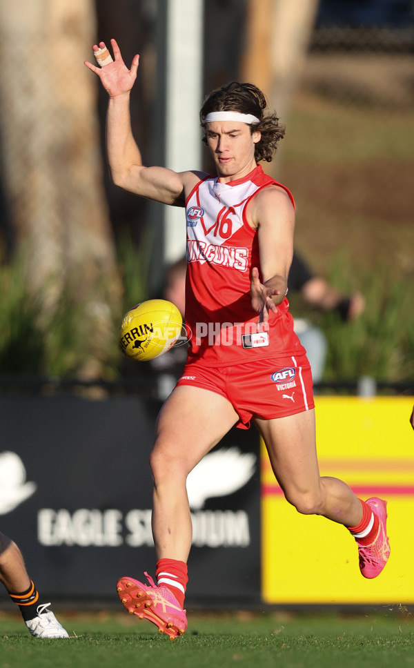 Young Guns Series 2024 - Young Guns v Victoria Metro U18 Boys - A-47363765