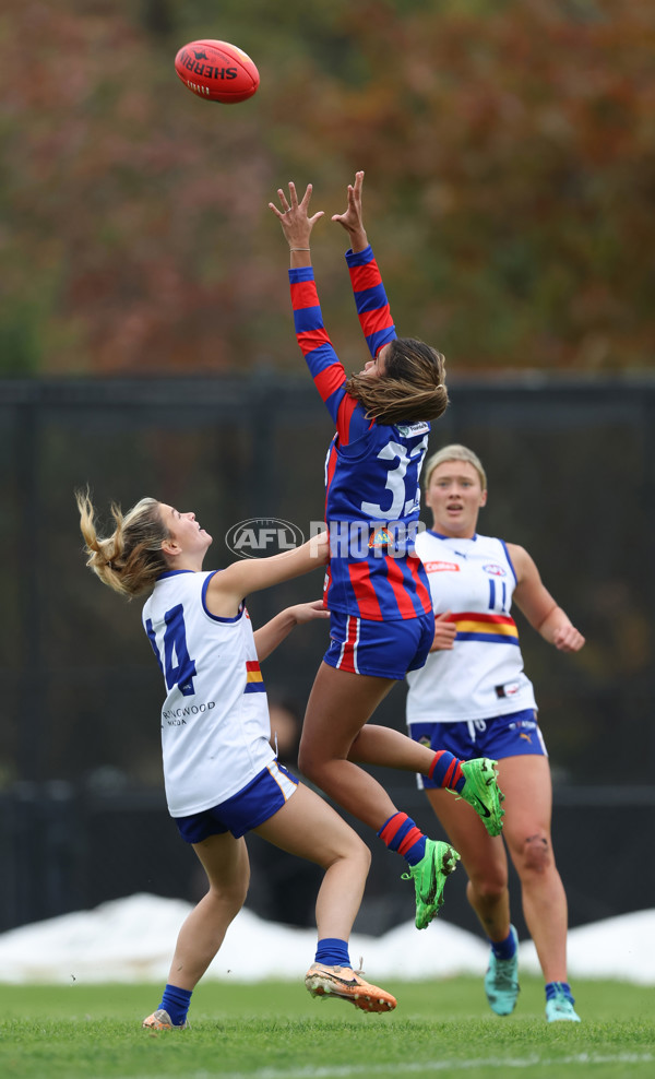Coates Talent League Girls 2024 - Oakleigh v Eastern Ranges - A-47397055