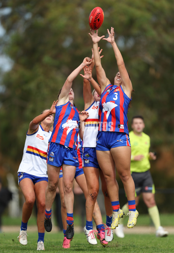 Coates Talent League Girls 2024 - Oakleigh v Eastern Ranges - A-47402199