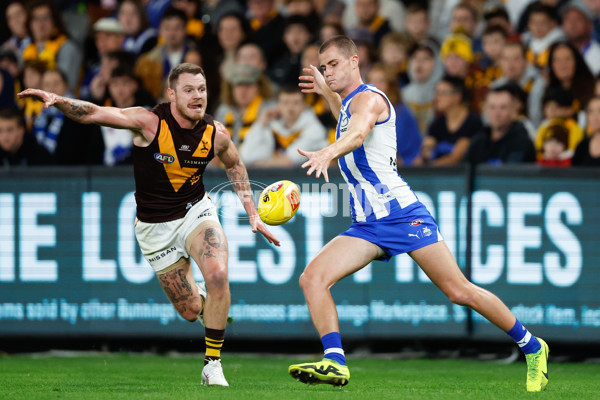 AFL 2024 Round 06 - North Melbourne v Hawthorn - A-47407937