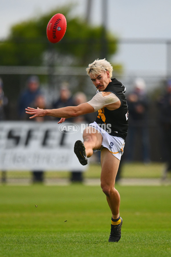 VFL 2024 Round 05 - Williamstown v Werribee - A-48171817
