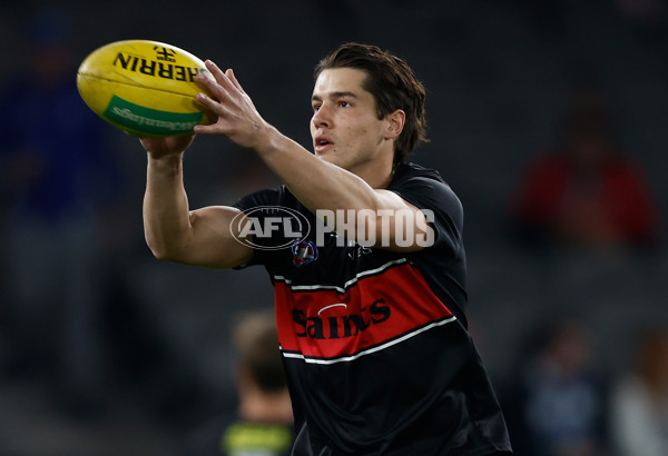 AFL 2024 Round 08 - St Kilda v North Melbourne - A-48718392