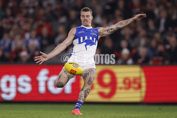 AFL 2024 Round 08 - St Kilda v North Melbourne - A-48726938