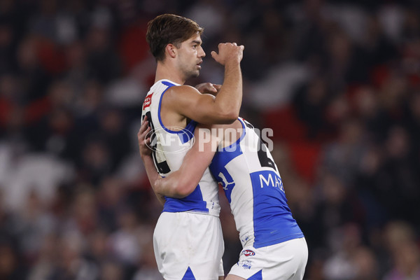 AFL 2024 Round 08 - St Kilda v North Melbourne - A-48728882
