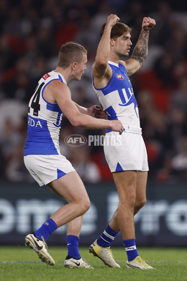 AFL 2024 Round 08 - St Kilda v North Melbourne - A-48728884