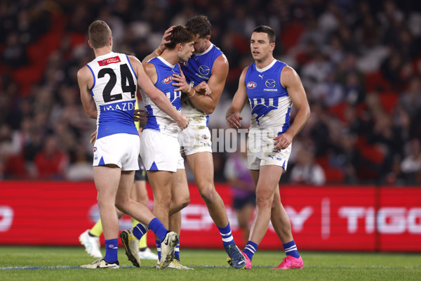 AFL 2024 Round 08 - St Kilda v North Melbourne - A-48728886