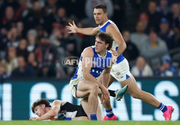 AFL 2024 Round 08 - St Kilda v North Melbourne - A-48728949