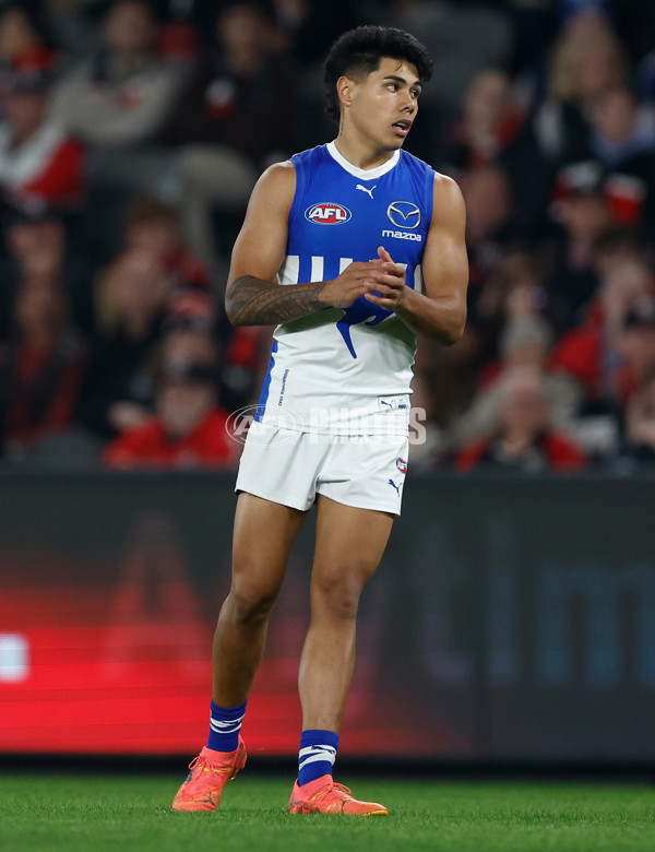 AFL 2024 Round 08 - St Kilda v North Melbourne - A-48730090