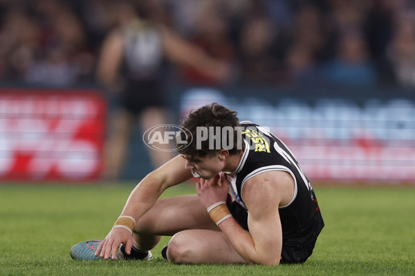 AFL 2024 Round 08 - St Kilda v North Melbourne - A-48731149