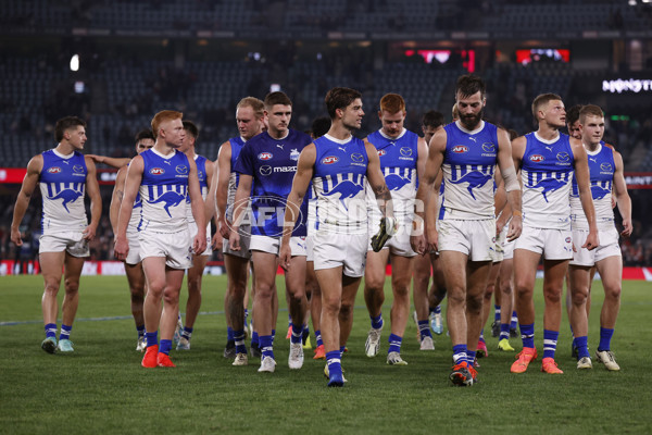 AFL 2024 Round 08 - St Kilda v North Melbourne - A-48733129