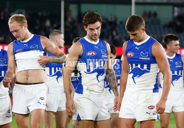 AFL 2024 Round 08 - St Kilda v North Melbourne - A-48733696