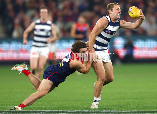 AFL 2024 Round 08 - Melbourne v Geelong - A-48736044