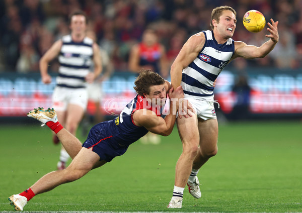 AFL 2024 Round 08 - Melbourne v Geelong - A-48736046