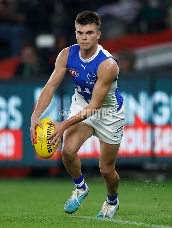 AFL 2024 Round 08 - St Kilda v North Melbourne - A-48736093