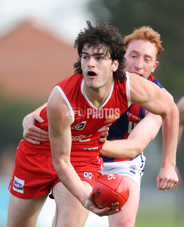 VFL 2024 Round 06 - Northern Bullants v Port Melbourne - A-48738086