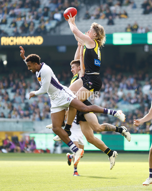 AFL 2024 Round 08 - Richmond v Fremantle - A-48760370