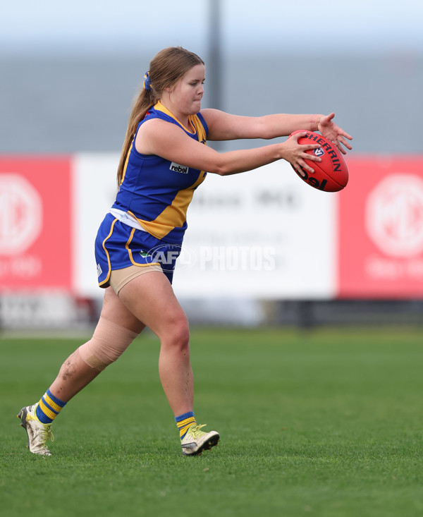 VFLW 2024 Round 08 - Williamstown v North Melbourne - A-49103195