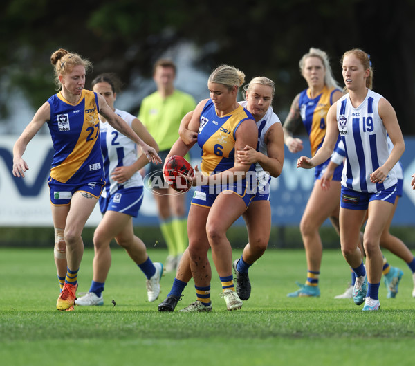 VFLW 2024 Round 08 - Williamstown v North Melbourne - A-49103210