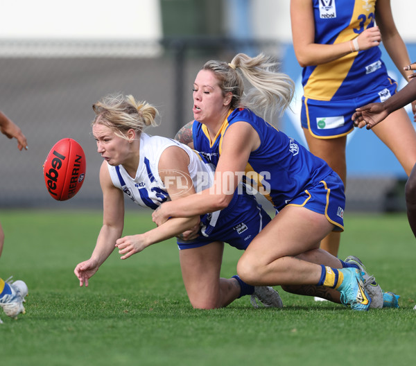 VFLW 2024 Round 08 - Williamstown v North Melbourne - A-49105851