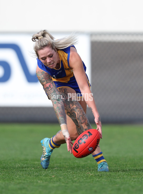 VFLW 2024 Round 08 - Williamstown v North Melbourne - A-49105853