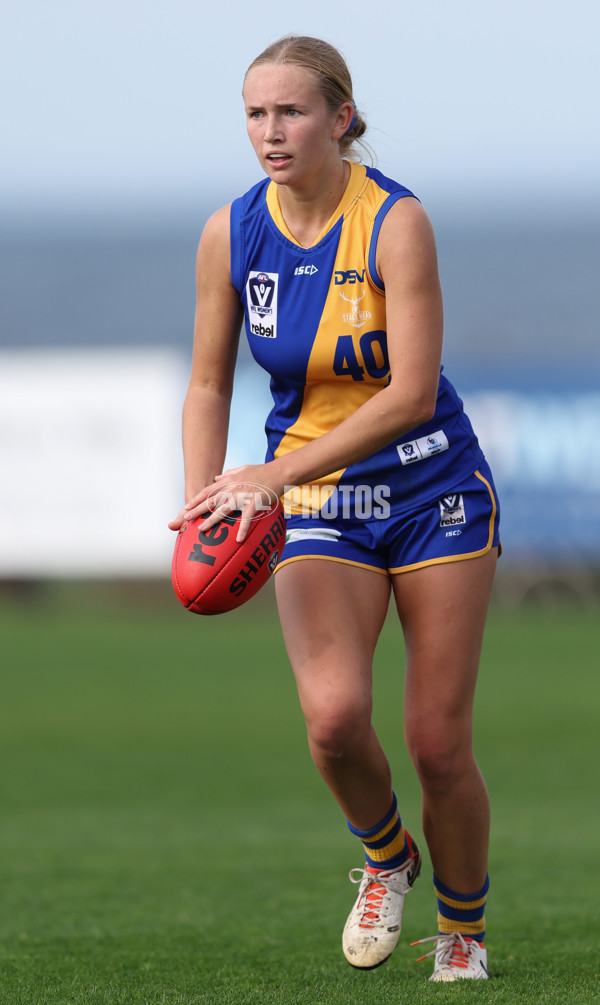 VFLW 2024 Round 08 - Williamstown v North Melbourne - A-49111467