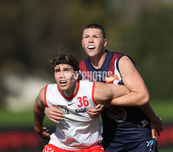 Coates League Boys 2024 Round 08 - Sandringham v Sydney Swans Academy - A-49462902