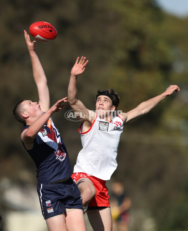 Coates League Boys 2024 Round 08 - Sandringham v Sydney Swans Academy - A-49465524