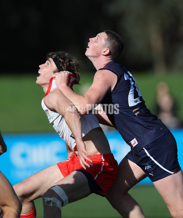 Coates League Boys 2024 Round 08 - Sandringham v Sydney Swans Academy - A-49484747