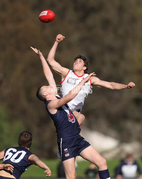 Coates League Boys 2024 Round 08 - Sandringham v Sydney Swans Academy - A-49487075