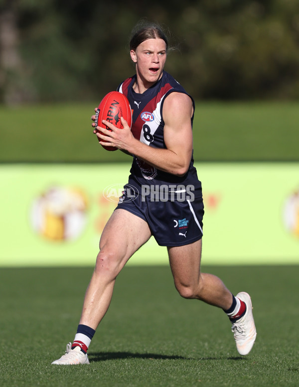 Coates League Boys 2024 Round 08 - Sandringham v Sydney Swans Academy - A-49487298