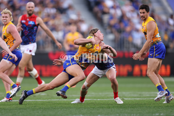 AFL 2024 Round 10 - Waalitj Marawar v Narrm - A-49512241