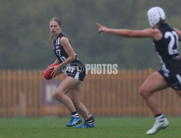Coates League Girls 2024 Round 07 - Geelong v Gippland - A-49512257