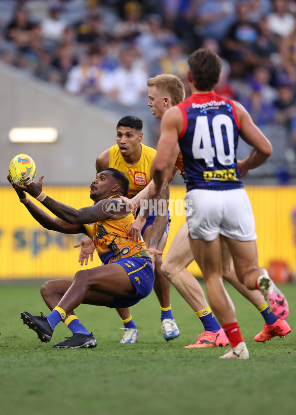 AFL 2024 Round 10 - Waalitj Marawar v Narrm - A-49512307