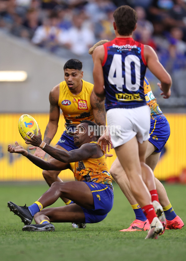 AFL 2024 Round 10 - Waalitj Marawar v Narrm - A-49514847