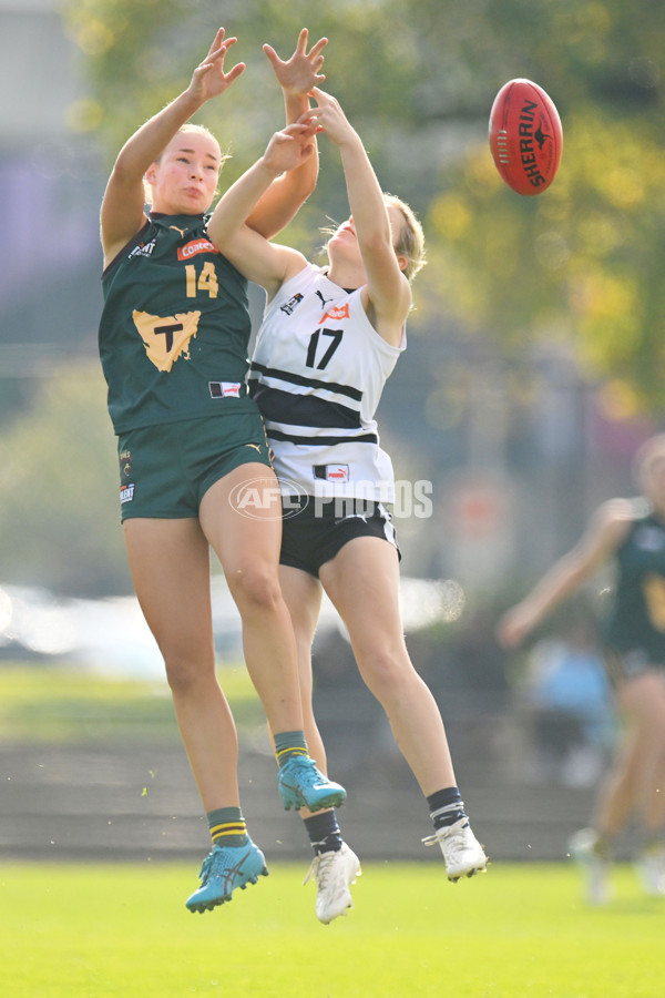 Coates Talent League U18 Girls 2024 Round 08 - Northern Knights v Tasmania Devils - A-49642440